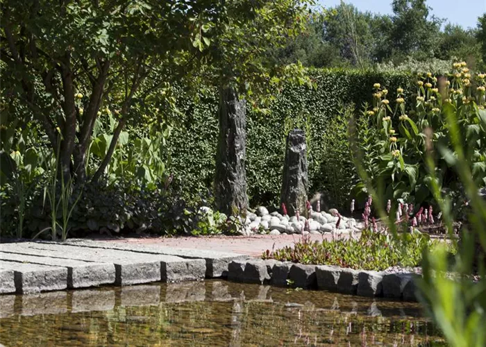 01.07. 2019 Mit allen Sinnen: Der „GartenTraumSonntag“ 2019