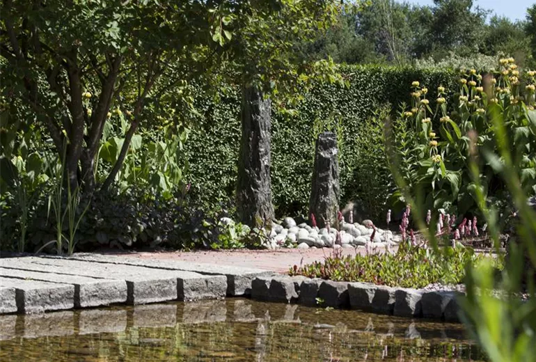 Wasser im Garten