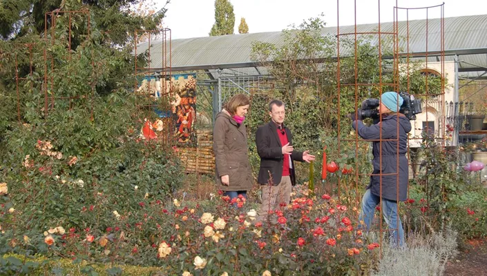ndr dreharbeiten 2012-11-01 145.jpg