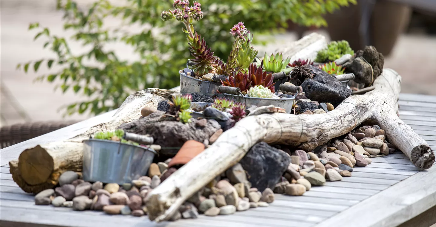 Mediterrane Tischdekoration (GS497835.jpg)