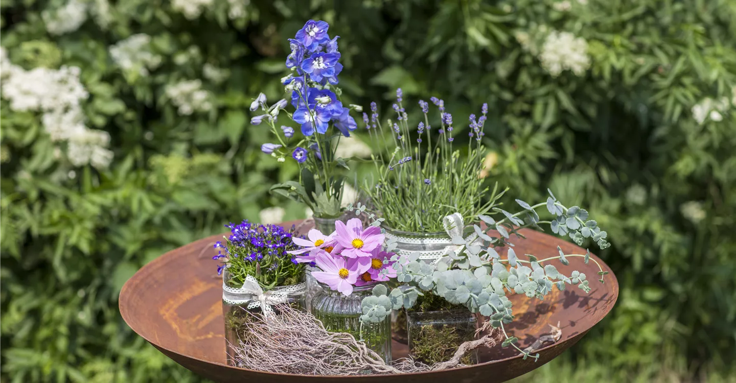 Delphinium, Lavandula, Sedum, Lobelia erinus, Cosmea (GS516247.jpg)