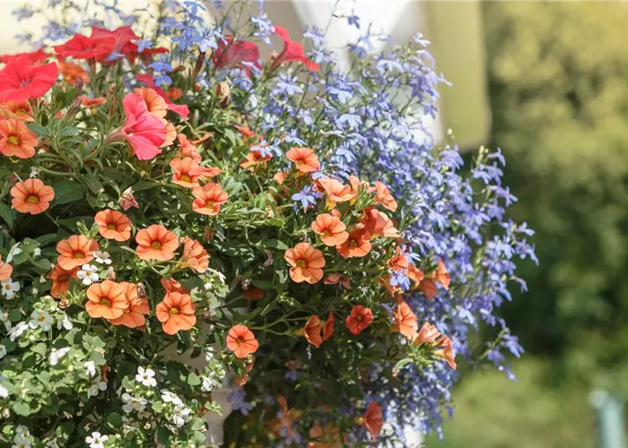 Urban Gardening – Blumenampel aus Konservendosen