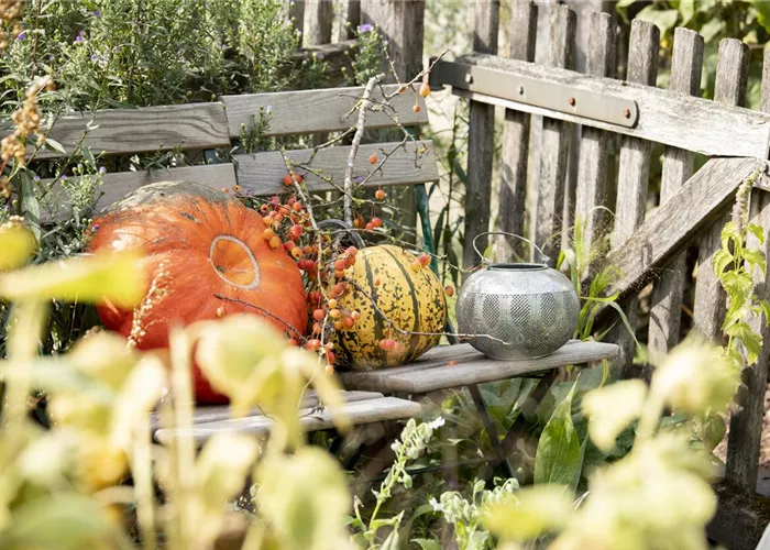 03.12. 2015 Kammer stellt Flüchtlingen drei Betriebe bei Bramsche vor