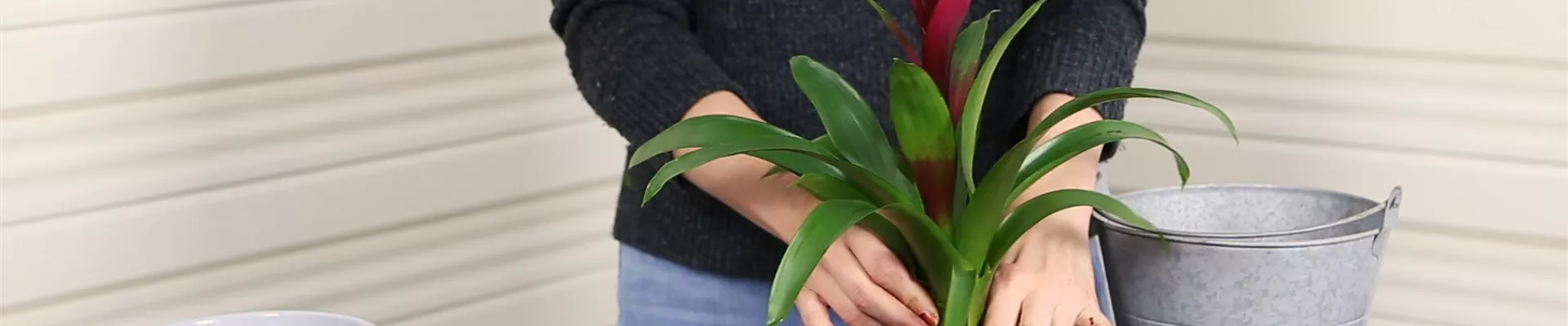 Gartenkalender - Igel Gartenkultur GbR