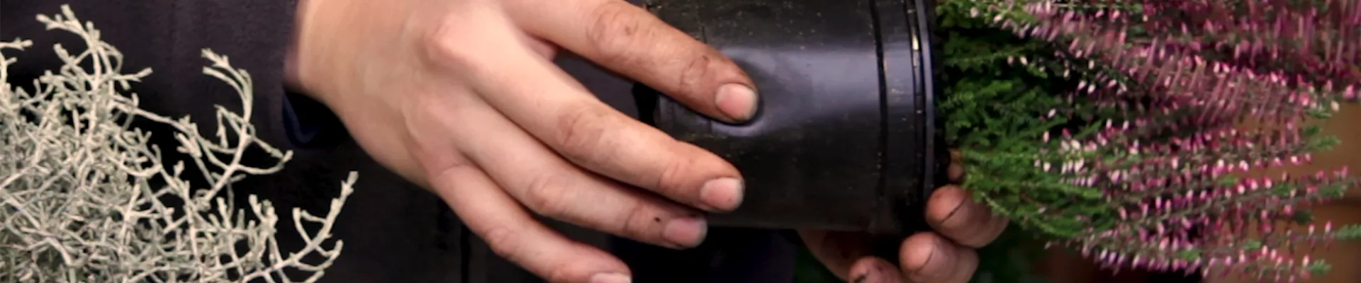 02.1 topf drücken0.jpg