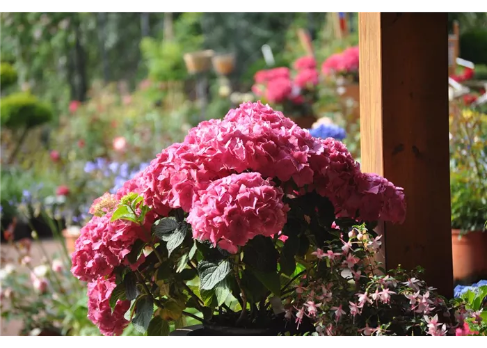 Willkommen auf unserer neuen Homepage