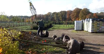 2013-11-20 171 - Kopie.jpg