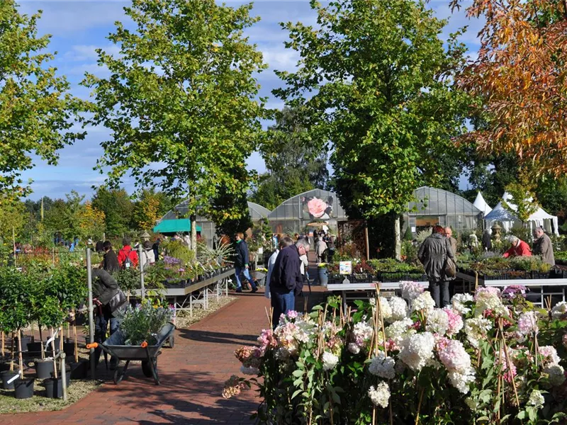 Hof- und Gartenfest