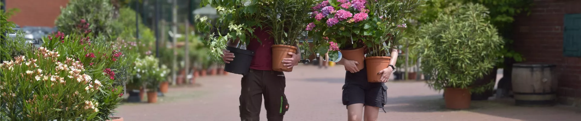 DSC_0362 (4) Kopie nachbearb.