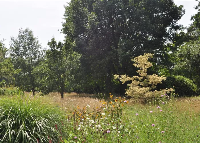 Garten im Klimawandel